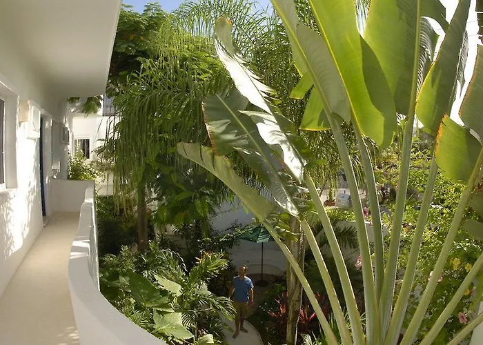 Aqualuna Boutique By Sunrise (adults Only) 3*